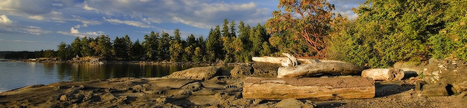 Salt Spring Tours