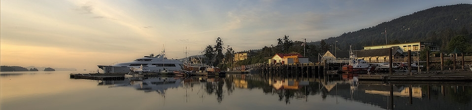 Salt Spring Tours