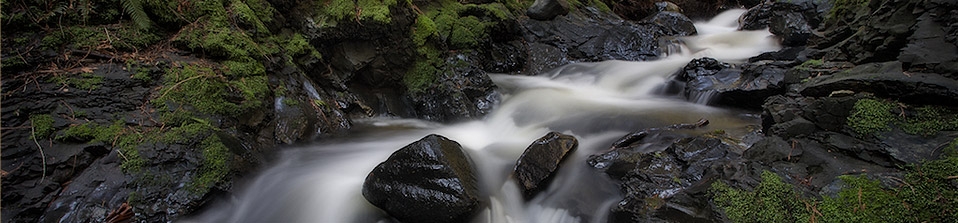 Salt Spring Tours
