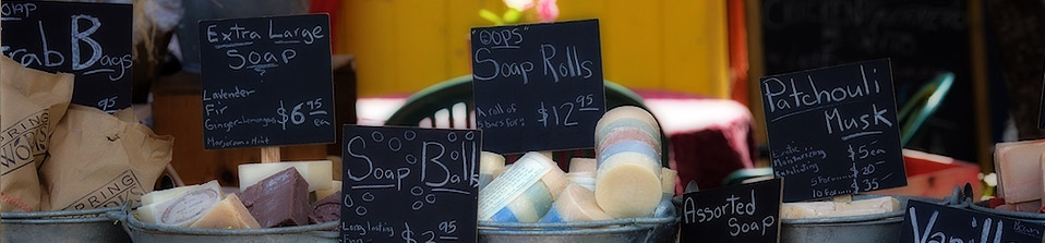 Salt Spring Tours